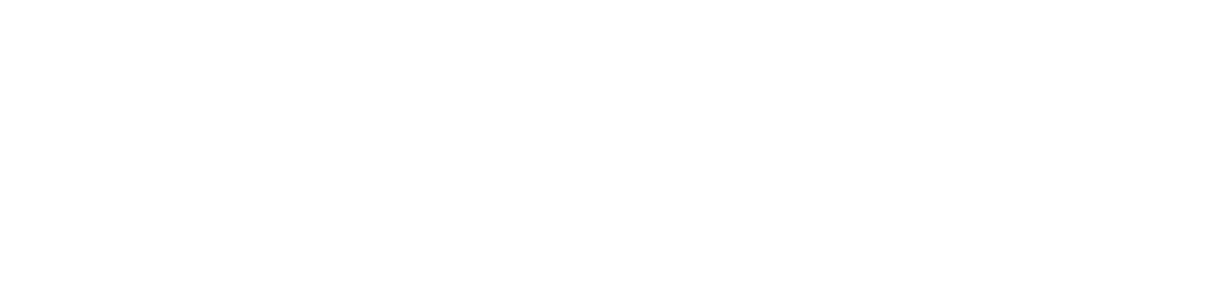 Bev Logo